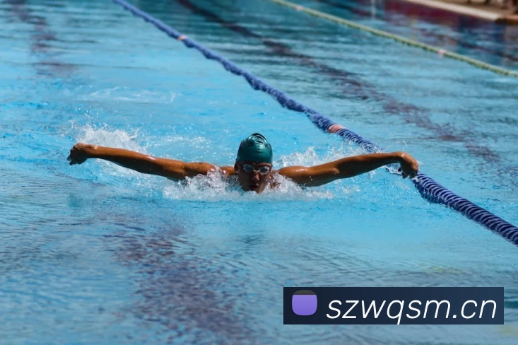 开云手机在线登陆入口平台生态图